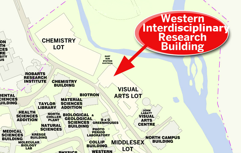 Western University