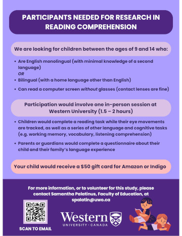Image not found.