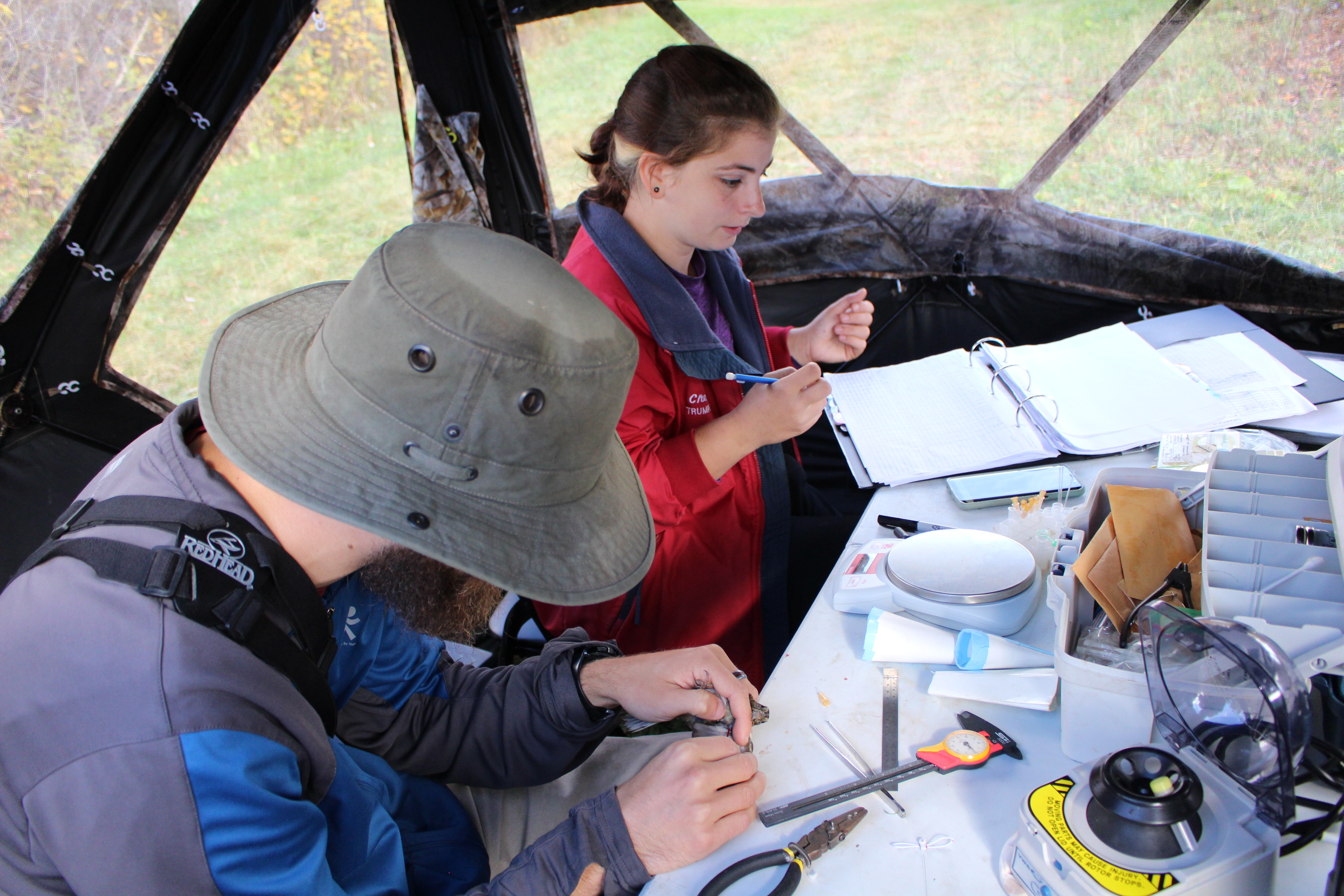 two researchers in a research observation tent