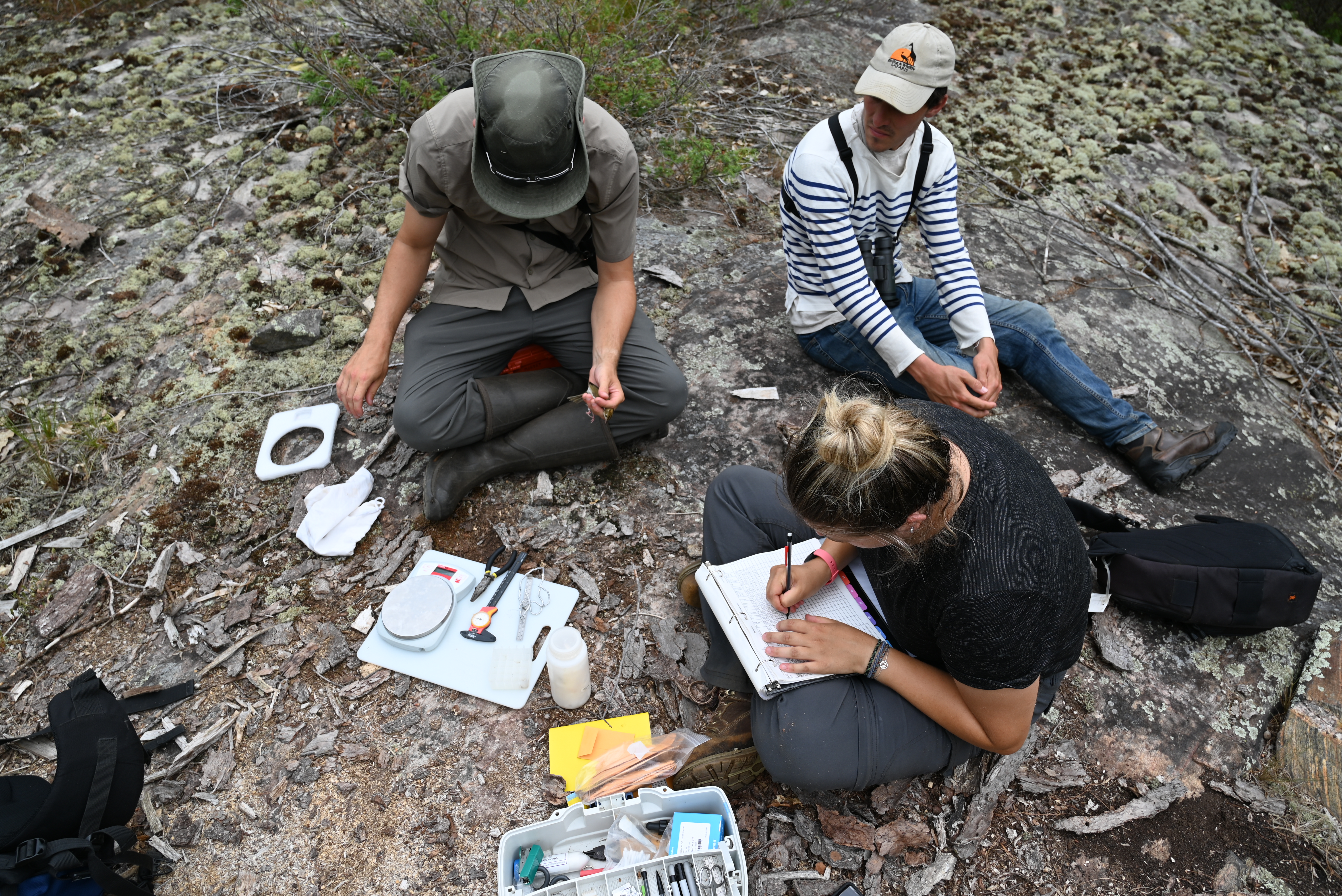 Students working