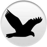 Bird icon
