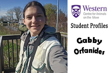 Picture of Gabby Orfanides