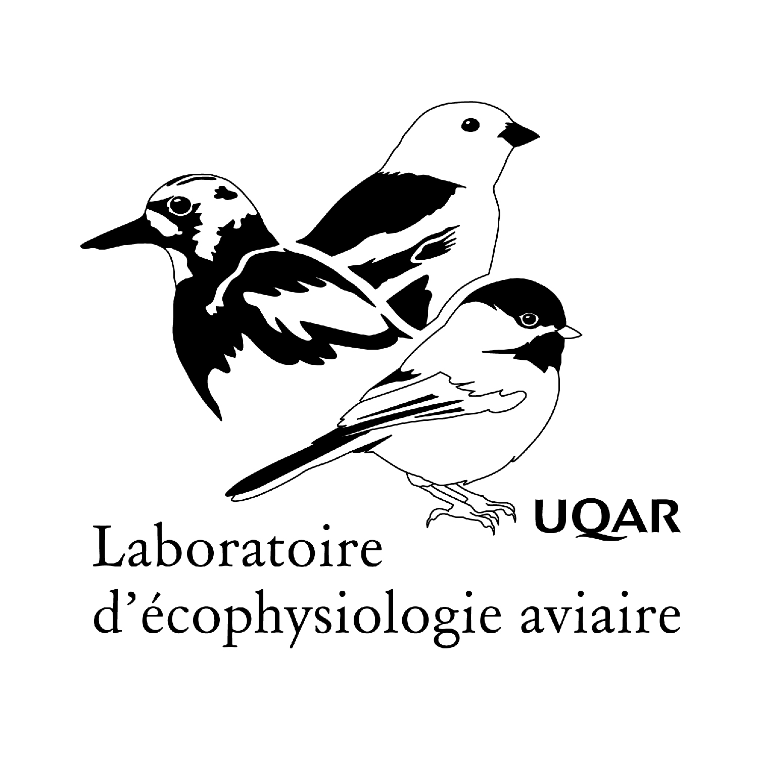 avian_ecophys_lab.jpg