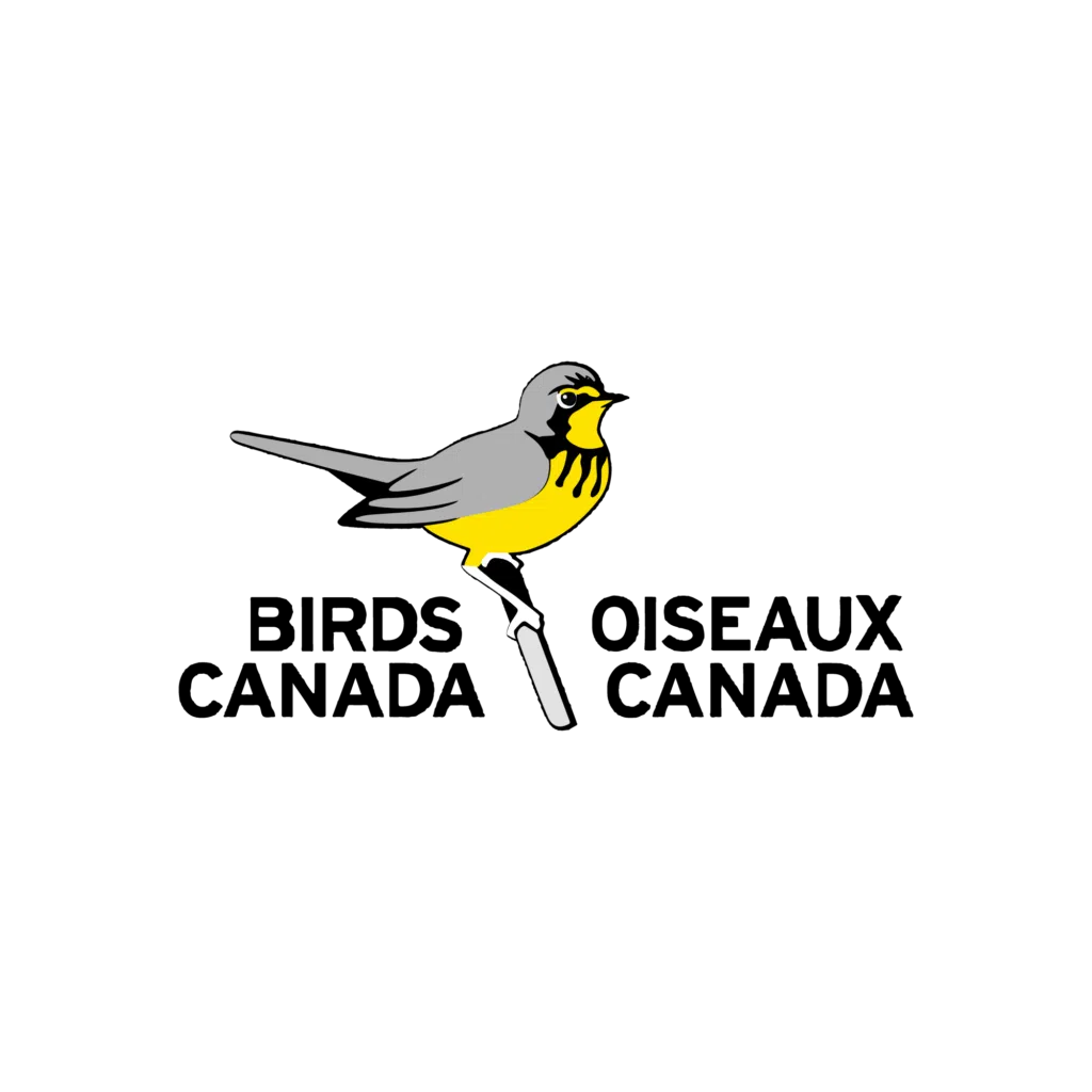 Birds Canada Logo