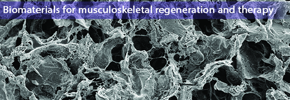 Biomaterials for musciloskeletal regeneration and therapy. Image of cell walls.