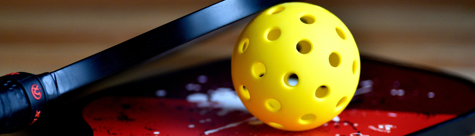 Pickleball paddles and ball