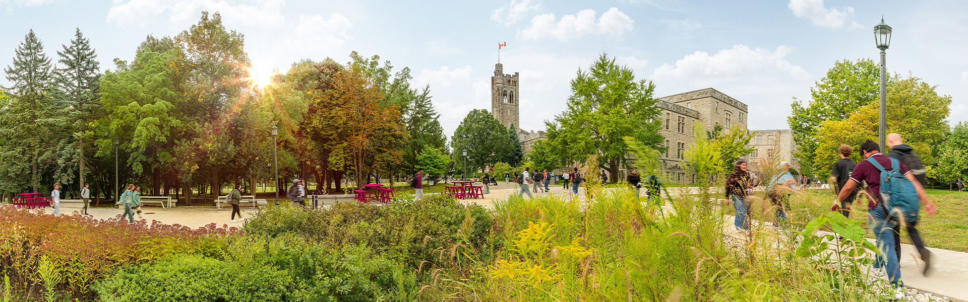 Images of greenery in the foreground and UC tower in the background.