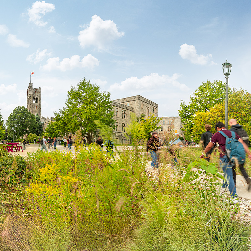 Images of greenery in the foreground and UC tower in the background.