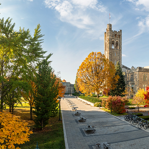 Photo of campus in the fall.