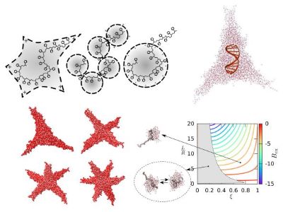 Macroion (proteins, nucleic acids) -droplet interactions generated by computational modelling 