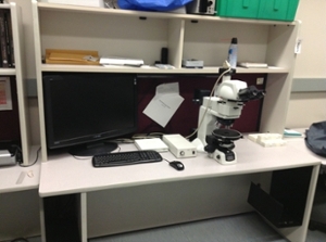 Nikon microscope