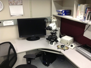Nikon microscope