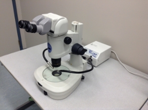 Nikon stereoscopic zoom microscope