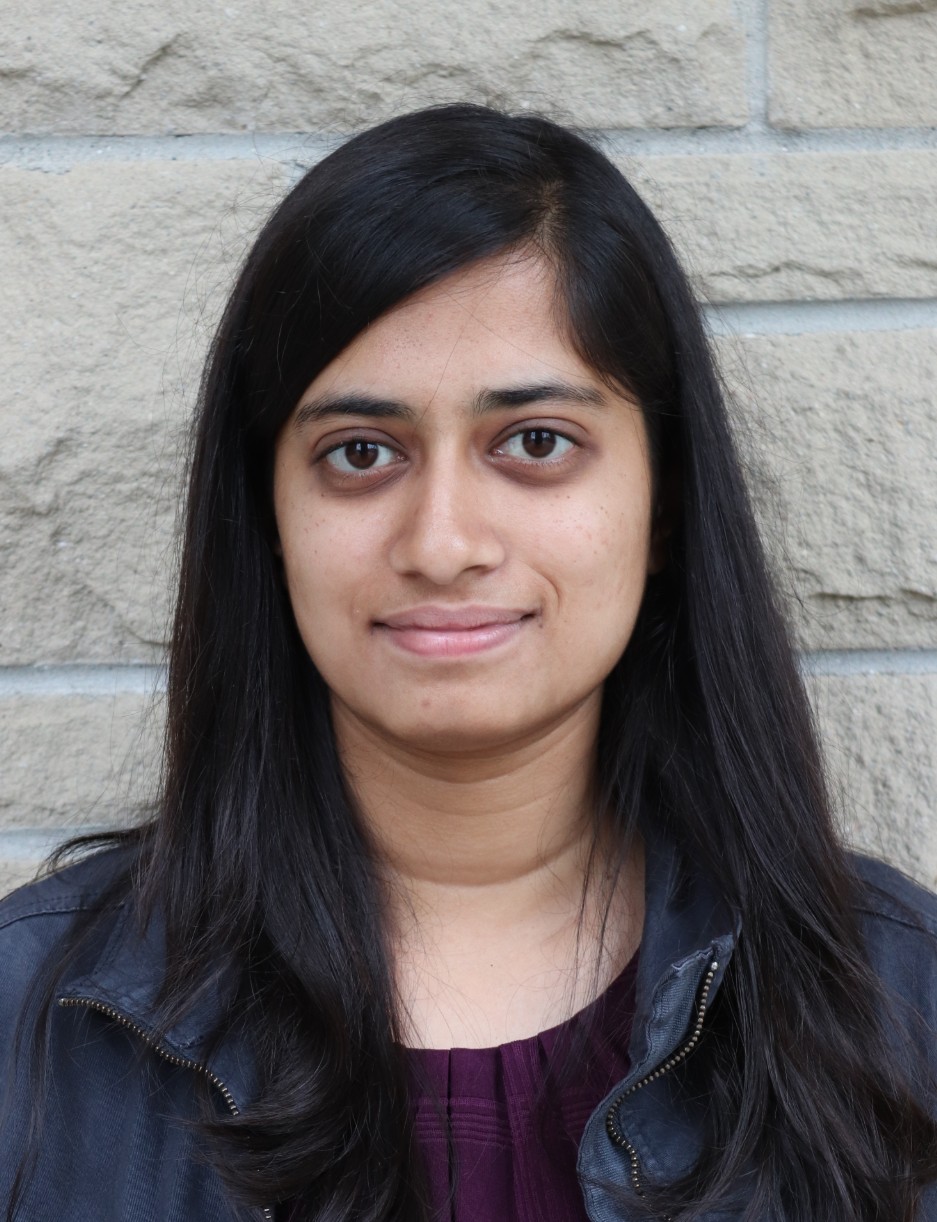 Neeraja Chinchalkar Neeraja Chinchalkar