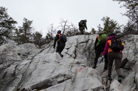 2250Y-small-272-2.jpg