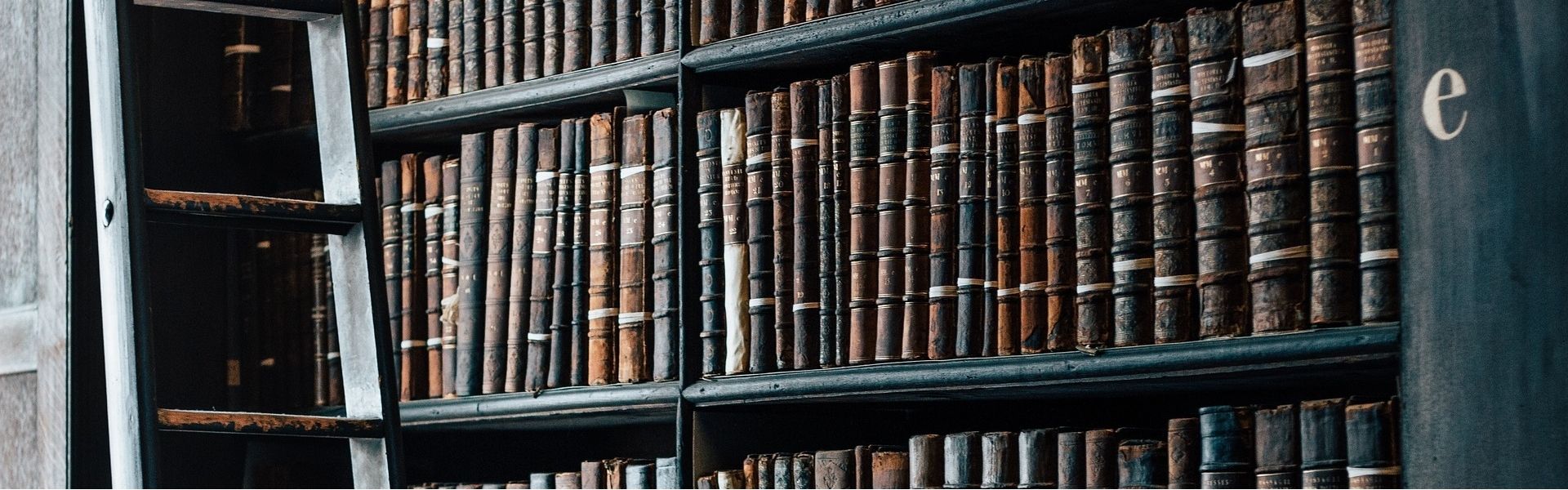 Library Shelves