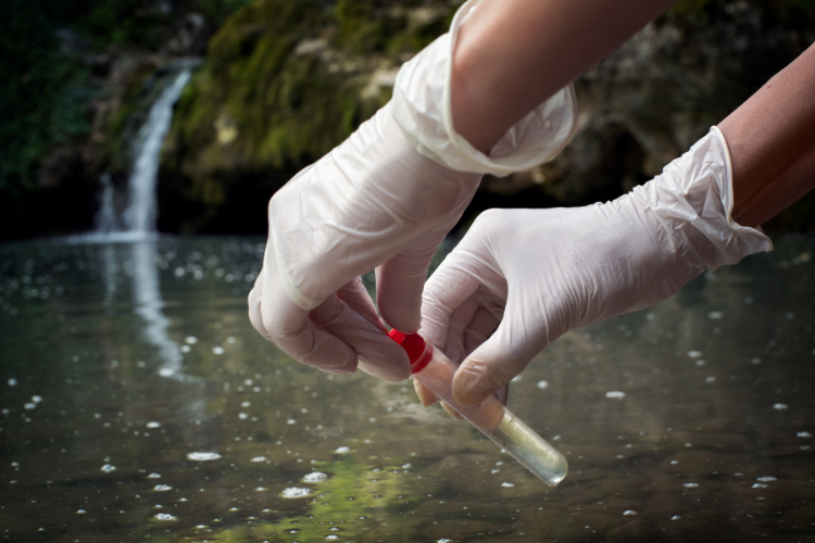 Water Test Sampling