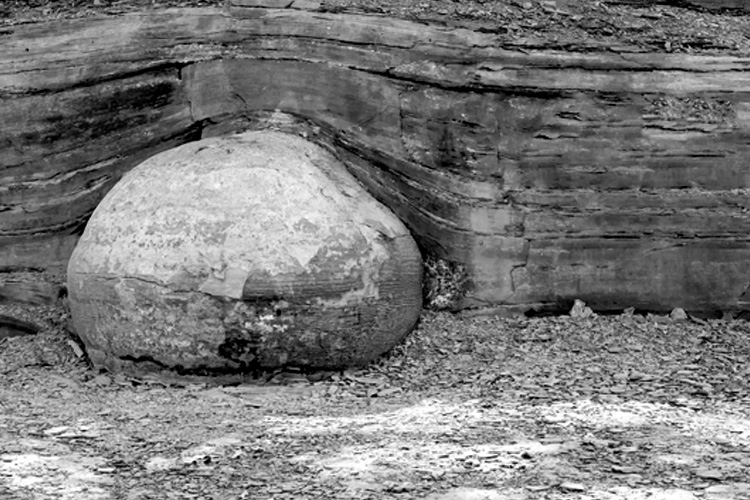 Kettle, Thunderbird egg