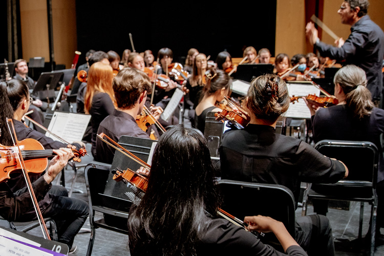 Symphony Orchestra