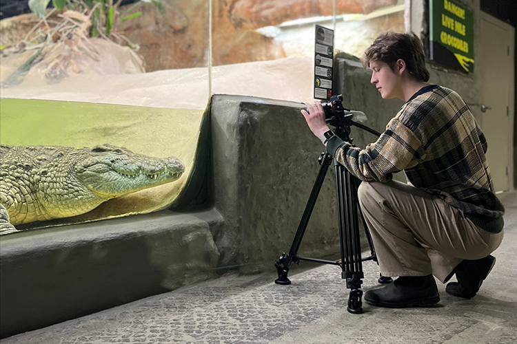 An MMJC student films an alligator at a reptile zoo