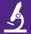 Microscope