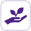 SPINA growth icon