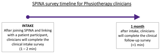 SPINA clinician survey timeline