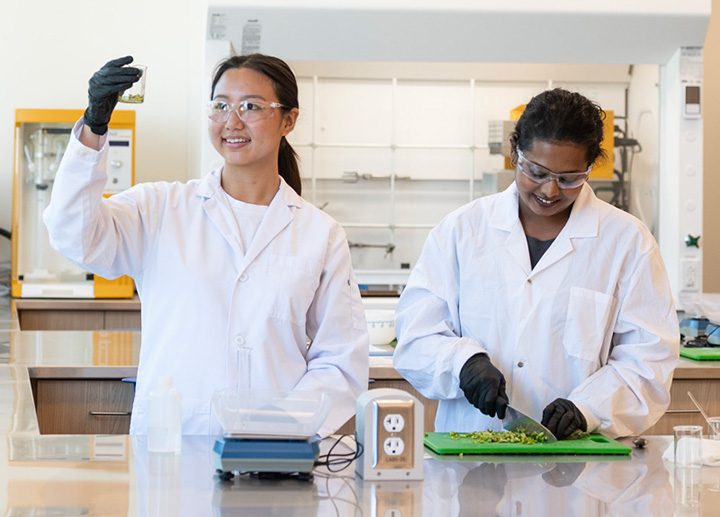 Foods & Nutrition students in the Food Lab.