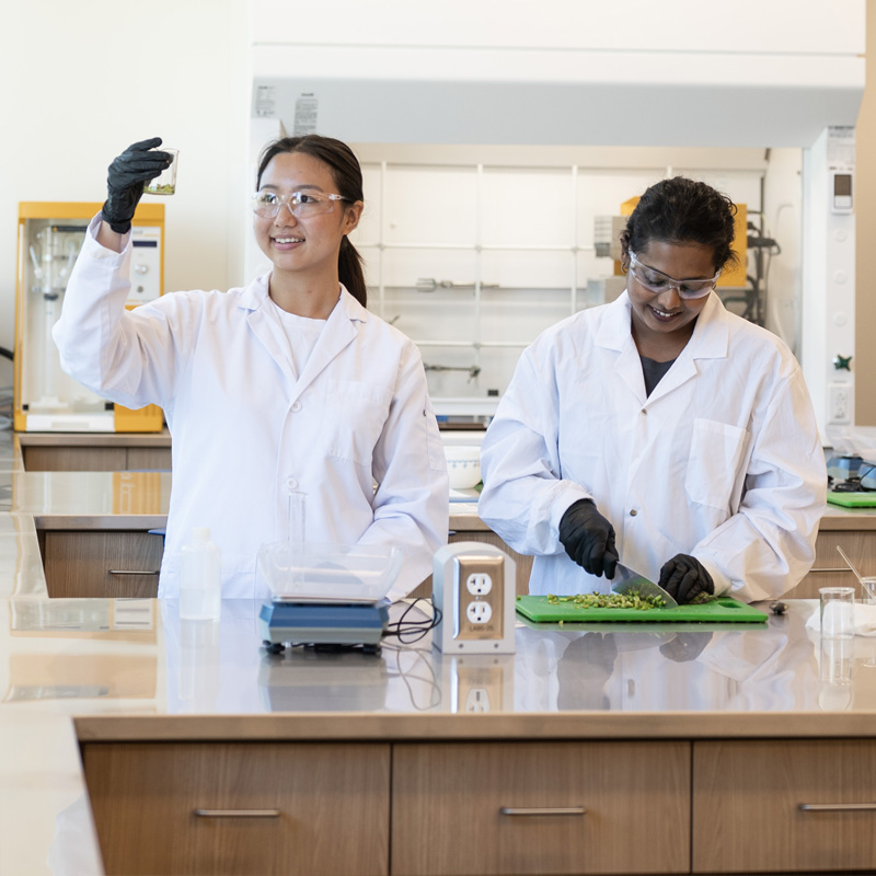 Foods & Nutrition students in the Food Lab.