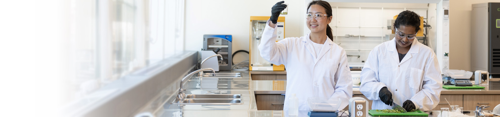 Foods & Nutrition students in the Food Lab.