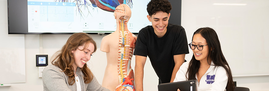 Health Studies students studying a model heart.