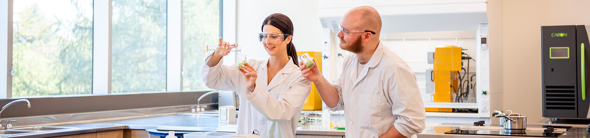 Graduate students in a food lab environment