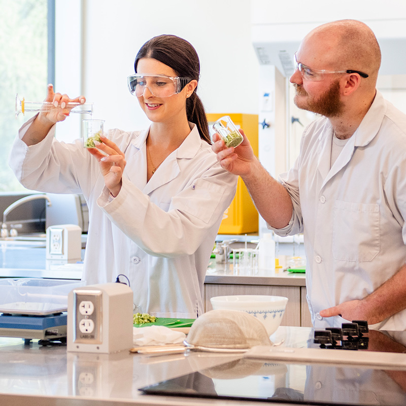 Graduate students in a food lab environment
