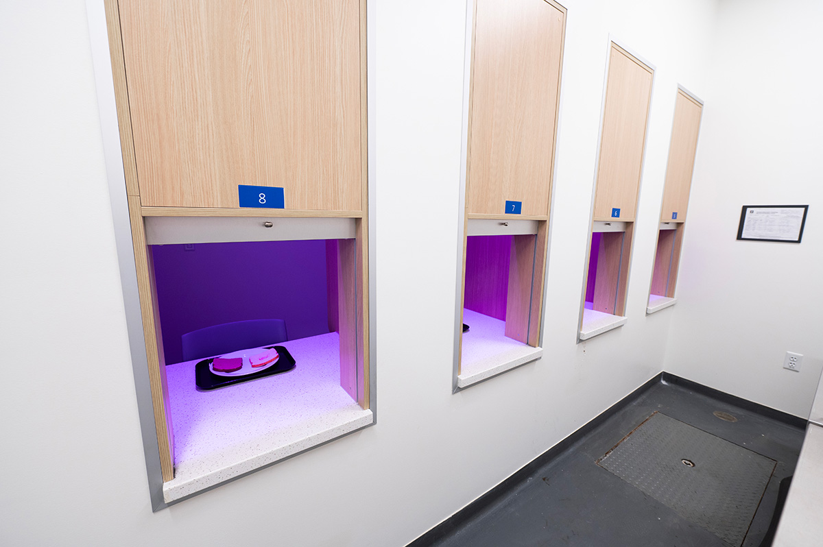 The other side of the sensory lab with standard lighting.