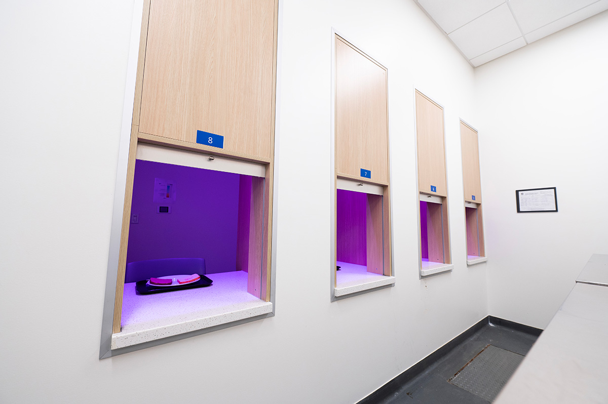 Interior view of the sensory lab with the lighting set to a vibrant pink.