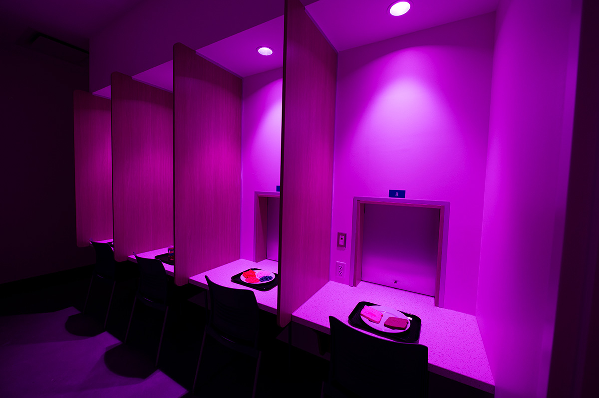 Interior view of the sensory lab with standard lighting.