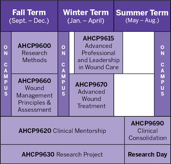 wound_curriculum_chart_650w.jpg