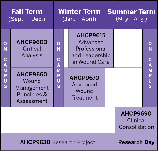 wound_nswoc_curriculum_chart_650.jpg