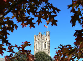 UC tower framed by fall leaves