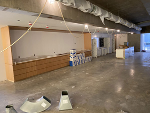 Upper floor renovation in midst of work being done