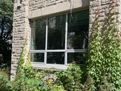 the exterior of the Collip courtyard with windows covered in hundreds of circular decals