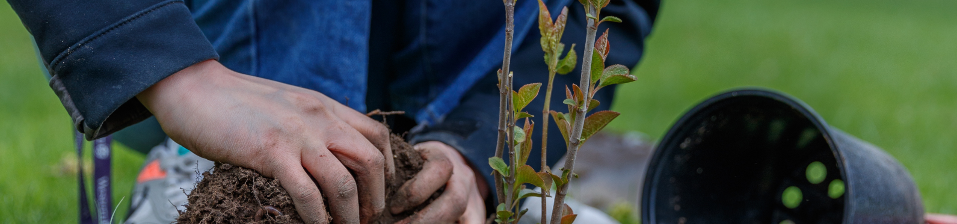 Environment and Sustainability