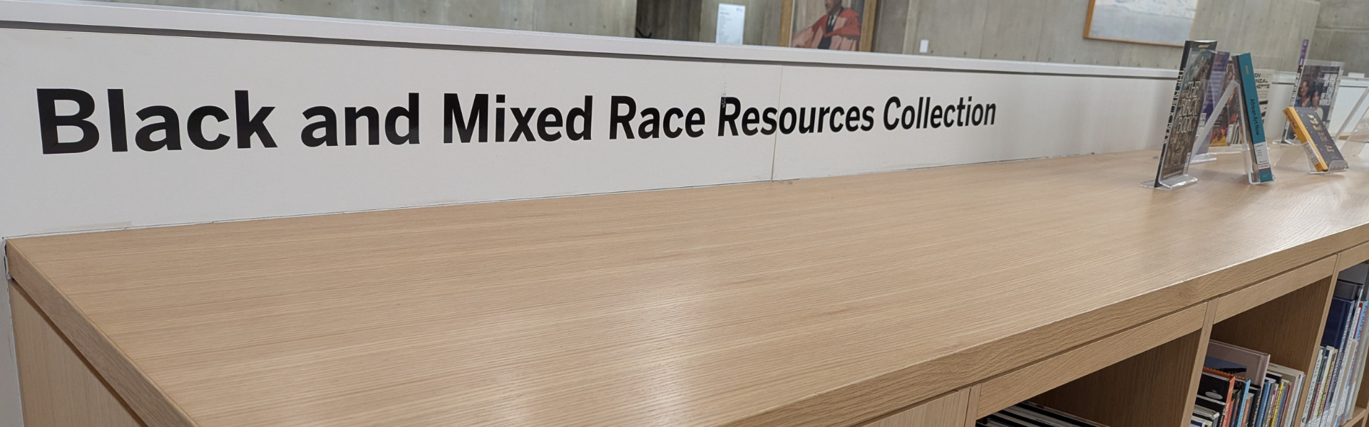 Photograph of the sign for Black and Mixed Races Resources section at the D.B. Weldon Library.