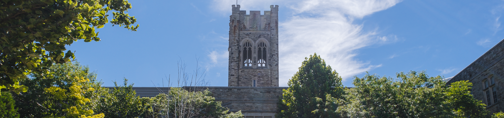 A photo of a garden in front of University College tower.