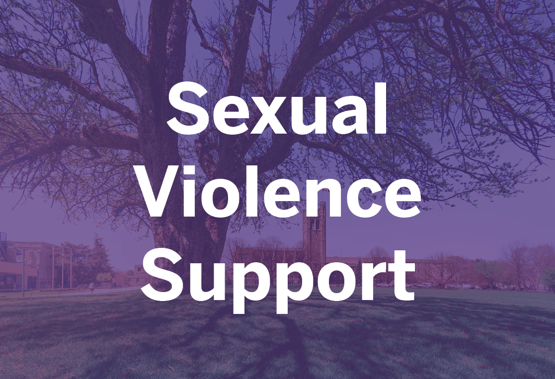 Sexual Violence Support