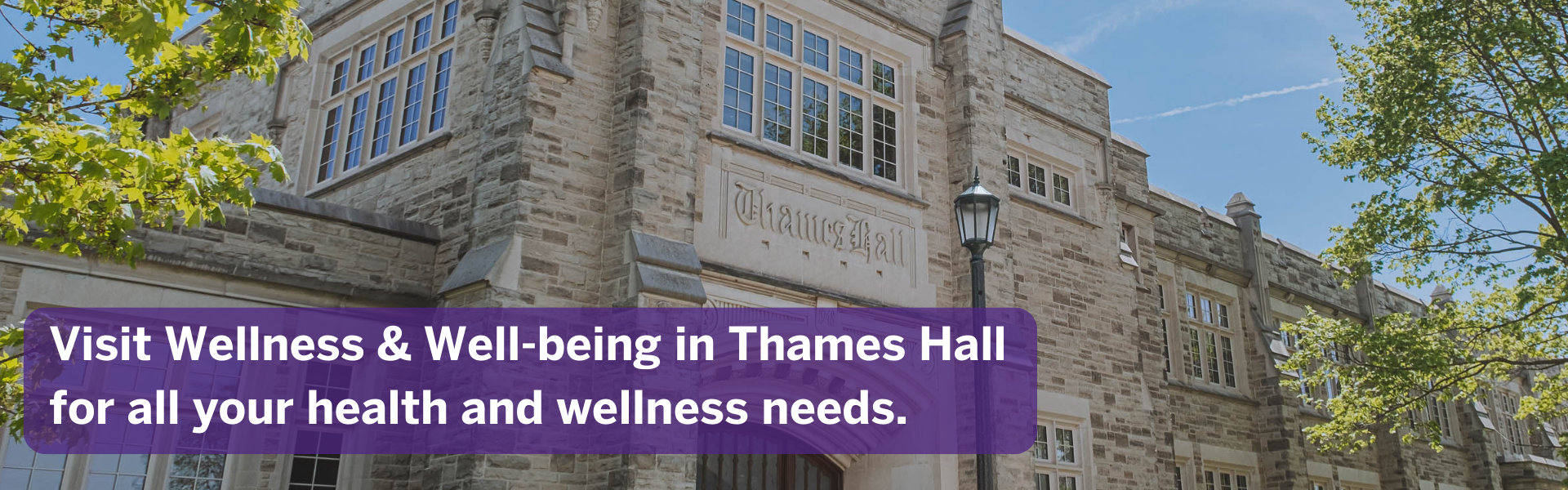 Wellness and Well-being Services