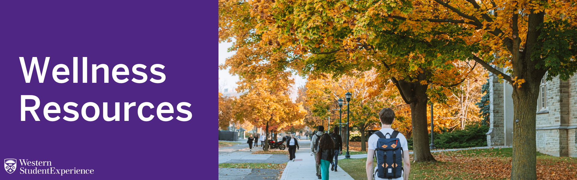 Wellness Resources title with picture of students walking on campus in the fall.