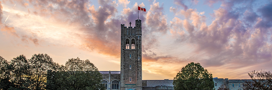 Collage of Western Employees