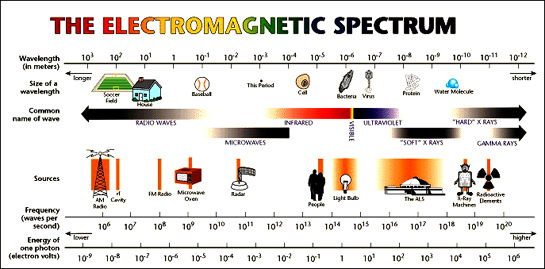 Nuclear Spectrum