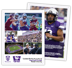 Briefing document cover artwork